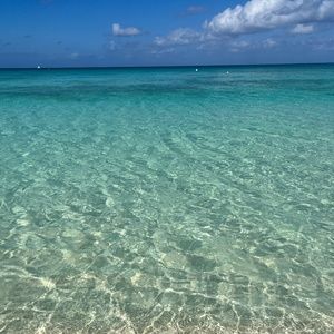 Meet your Posher, Takano